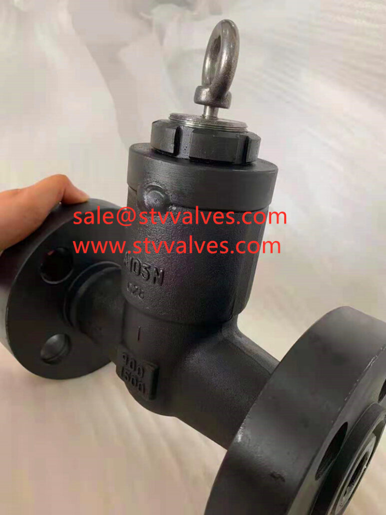 Api Integral Flange Swing Check Valve China Valve Manufacturer Stv