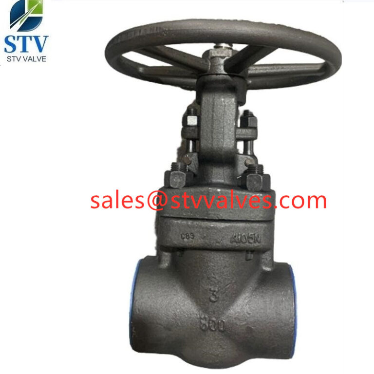 Class 800 Gate Valveastm A105n3 Inch800lbapi 602sw China Valve Manufacturer Stv 5976