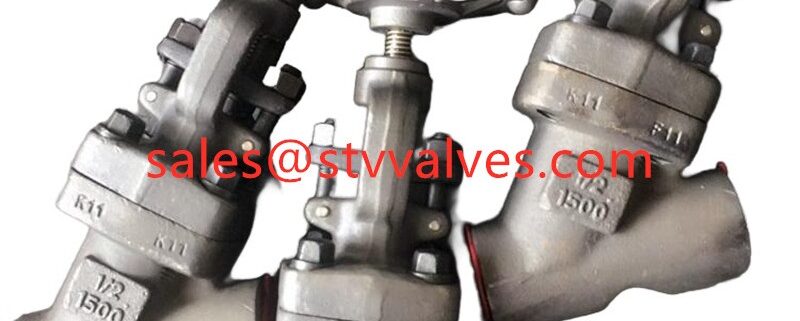 China F11 Y Type Forged Globe Valve