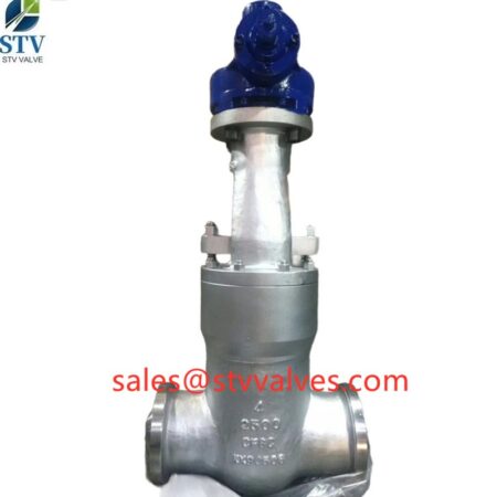 China 2500LB CF8C Globe Valve Manufacture