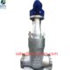 China 2500LB CF8C Globe Valve Manufacture