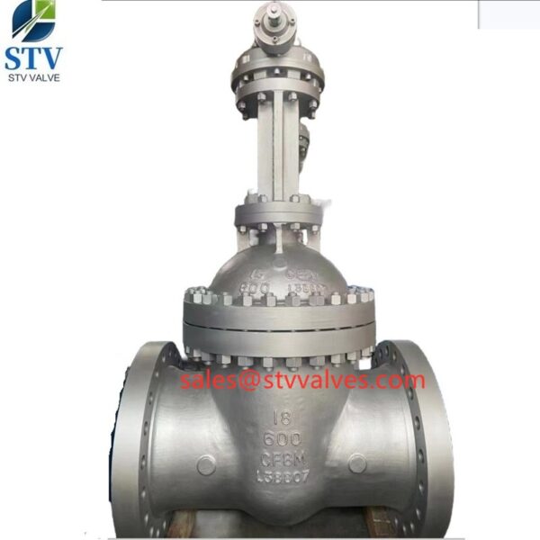 China 18 Inch CF8M Gate Valve Manufacture