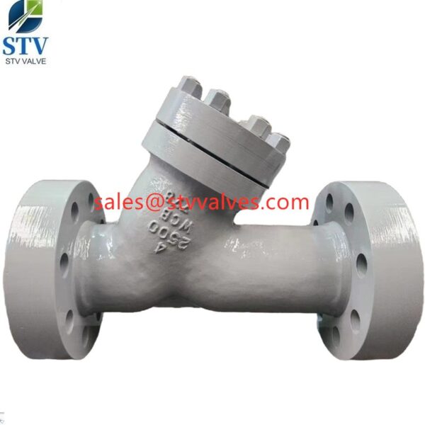 China 2500LB Y Type Strainer Manufacture