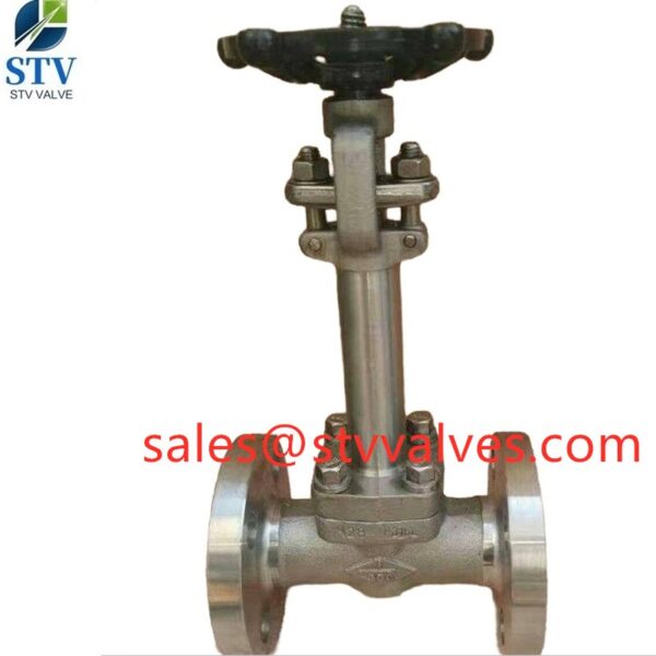 China F316 Extension Stem Gate Valve