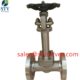 China F316 Extension Stem Gate Valve