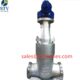 China 2500LB CF8C Gate Valve Manufacture