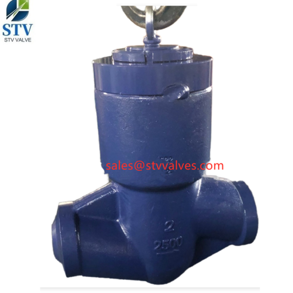 China 2500LB Forged Steel Check Valve Manufacture