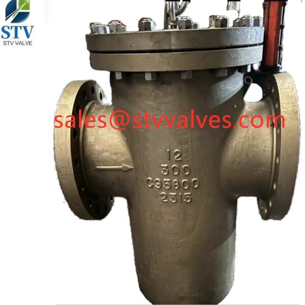 China 300LB C95800 Basket Strainer Manufcture