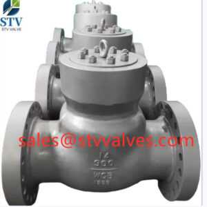 China 900 LB PSB Swing Check Valve Manufacture