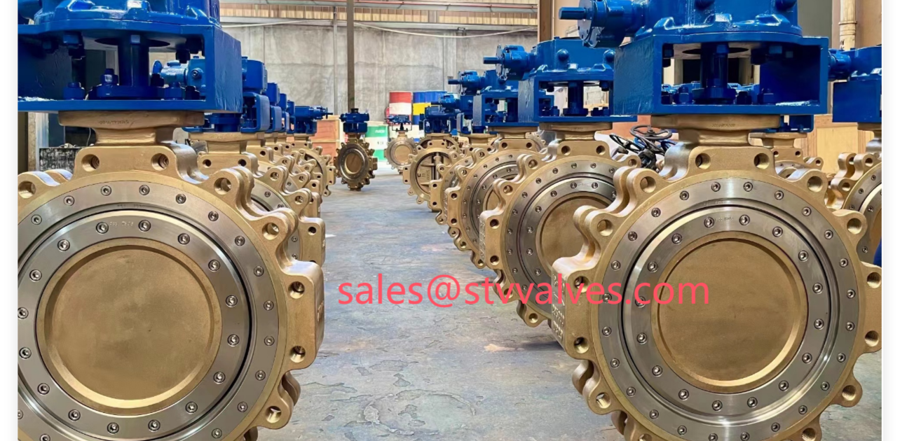 C95800 Butterfly Valve