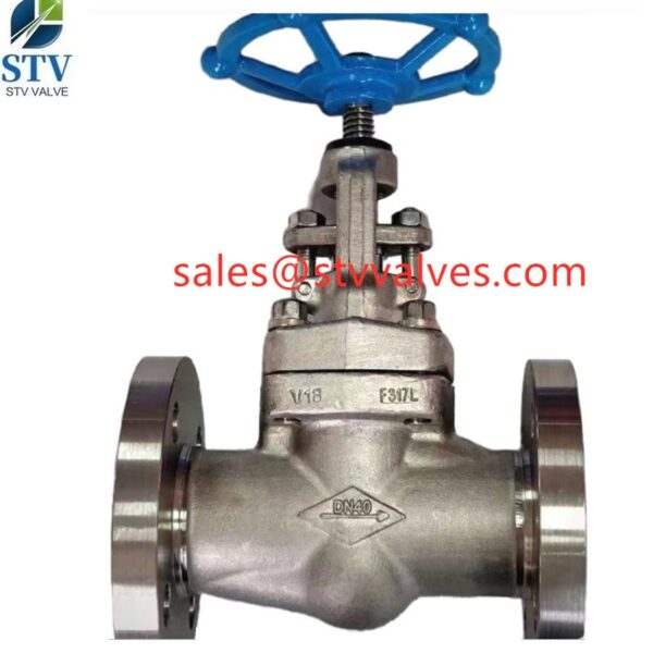 China A182 F317L Gate Valve Manufacture