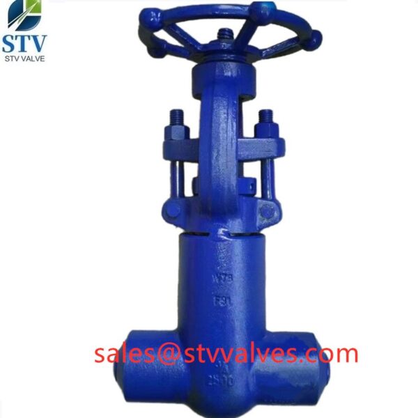 China A182 F91 Globe Valve Manufacture