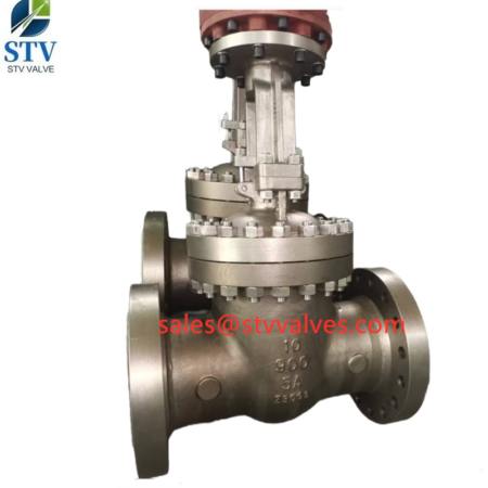 China Stainless Steel 5A Gate Valve Manufacture