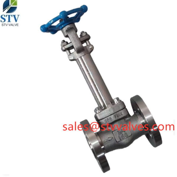 China F304 Extension Stem Gate Valve Supplier