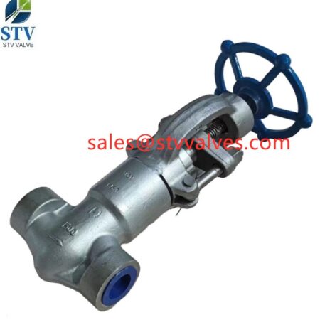 China A182 F53 Gate Valve Manufacture