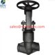 China 2500LB F91 Forged Globe Valve Manufacture