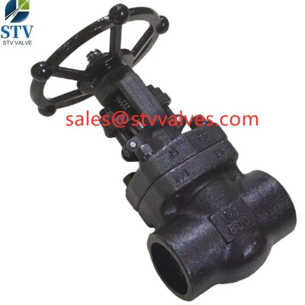 China A182 F5 Forged Gate Valve Manufacture