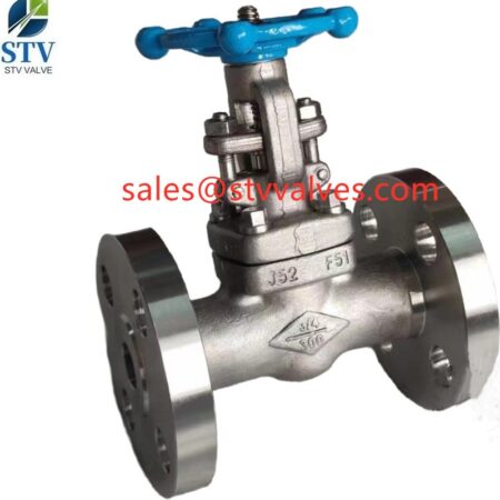 China 300LB F51 Gate Valve Manufacture