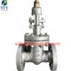 China 300LB CN7M Gate Valve Manufacture