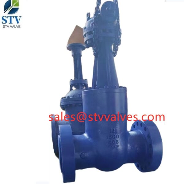 WC6 Pressure Seal Bonnet Gate Valve Supplier