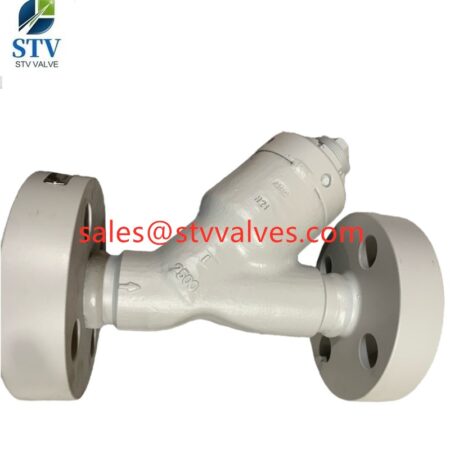 China F316L Steel Y Strainer