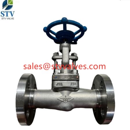 China F51 Flanged Globe Valve