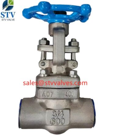 China Monel 400 Gate Valve